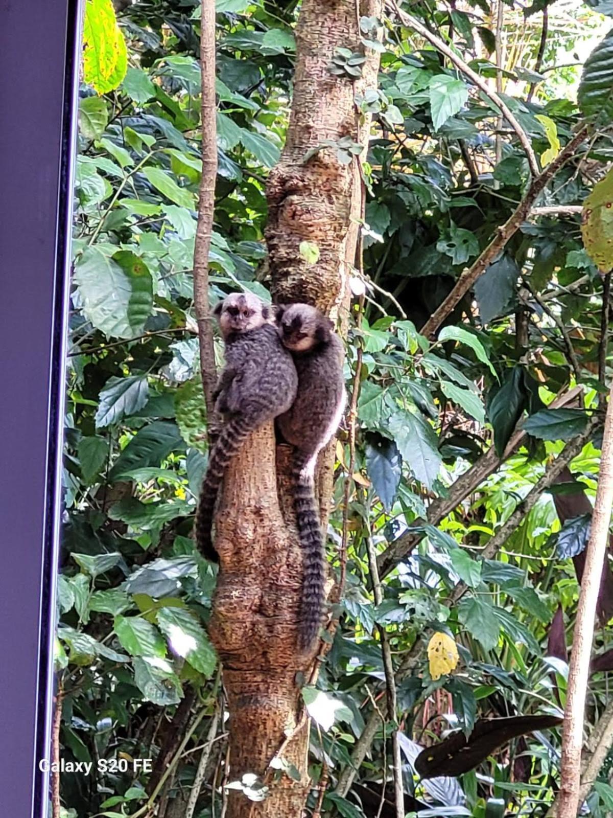 Сasa de vacaciones Morada Dos Saguis
